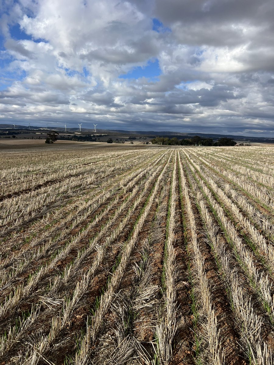 Christopher Hallion tweet media