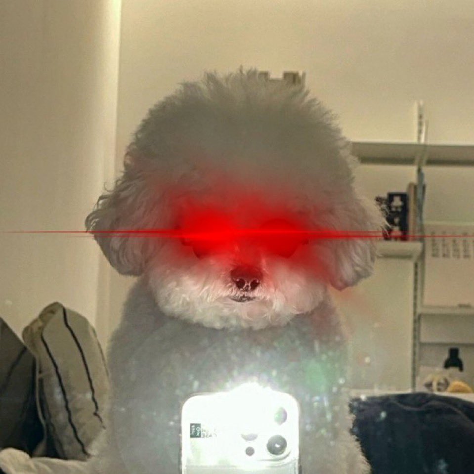 <a href="/moneymaykah_/">moneymaykah</a> $HENRY is here to rise from the bottom 

CLwUUmrHaGHpGQmvNcAoWos5rBru5DscA6qiSFB2pump

t.me/henrydogcto