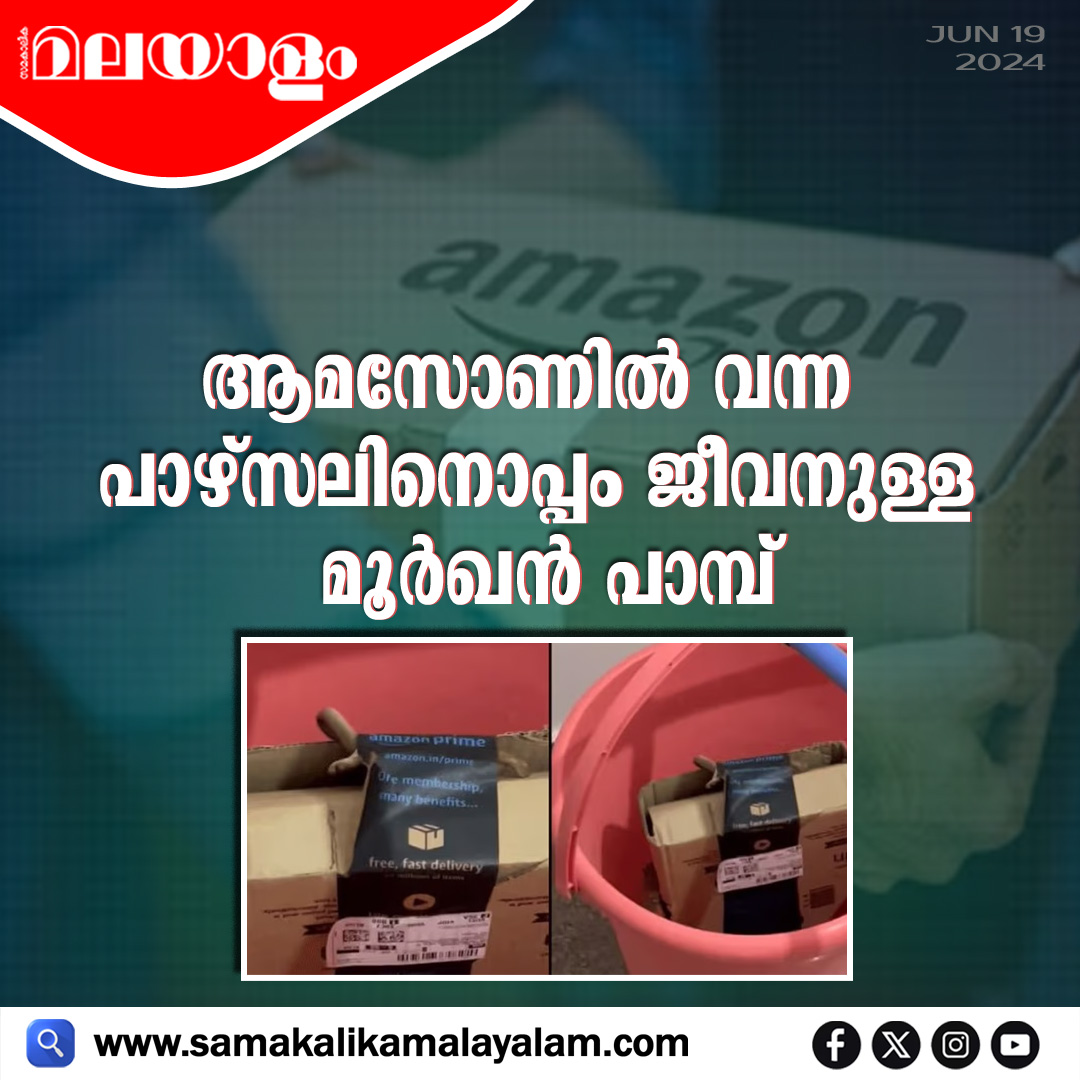 samakalikam's tweet image. ആമസോണില്‍ വന്ന പാഴ്സലിനൊപ്പം ജീവനുള്ള മൂര്‍ഖന്‍ പാമ്പ്;
 samakalikamalayalam.com/deseeyam-natio…

#Amazon #amazondelivery #deliverypackage #Inside #find #cobra #bangalore