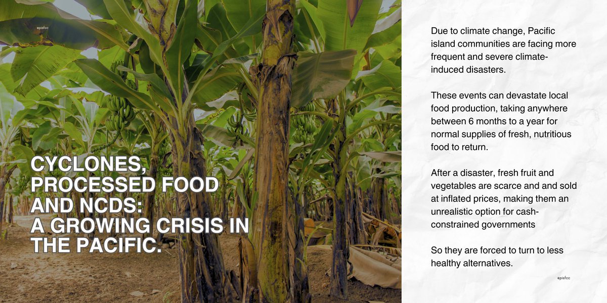 pisfcc's tweet photo. 🌀⛈️ Disasters due to the #climatecrisis are forcing frontline communities especially in the Pacific to rely on food aid. However this aid is often rich in unhealthy salts, sugars, and fats. 

Read more about it here https://t.co/iEsLPsL7Wj https://t.co/cf9qLKvDbw