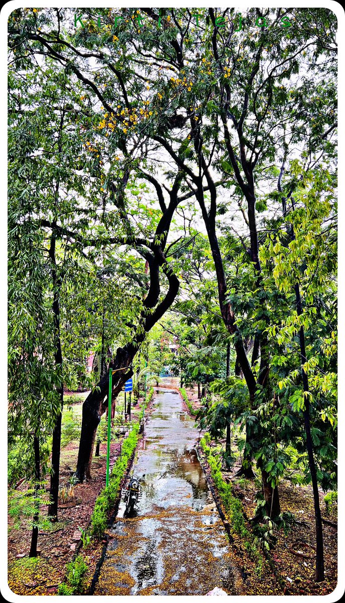 Kirti Tejas tweet media