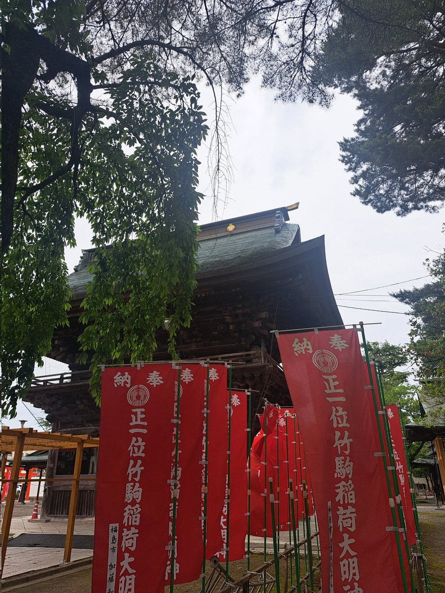 ミケ(1代目飼い猫ちゃんの名前です)写真はねおくんでしっ🐈️ tweet media