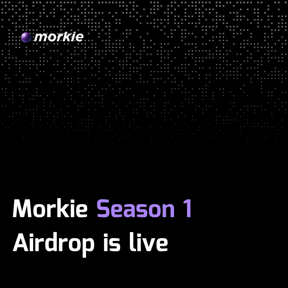 Check Your Season 1 Allocation
🔗 app.morkie.xyz/claim