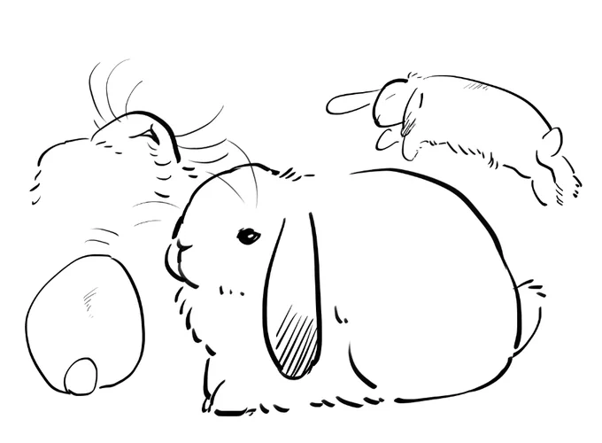うさぎも描いておくか… 
