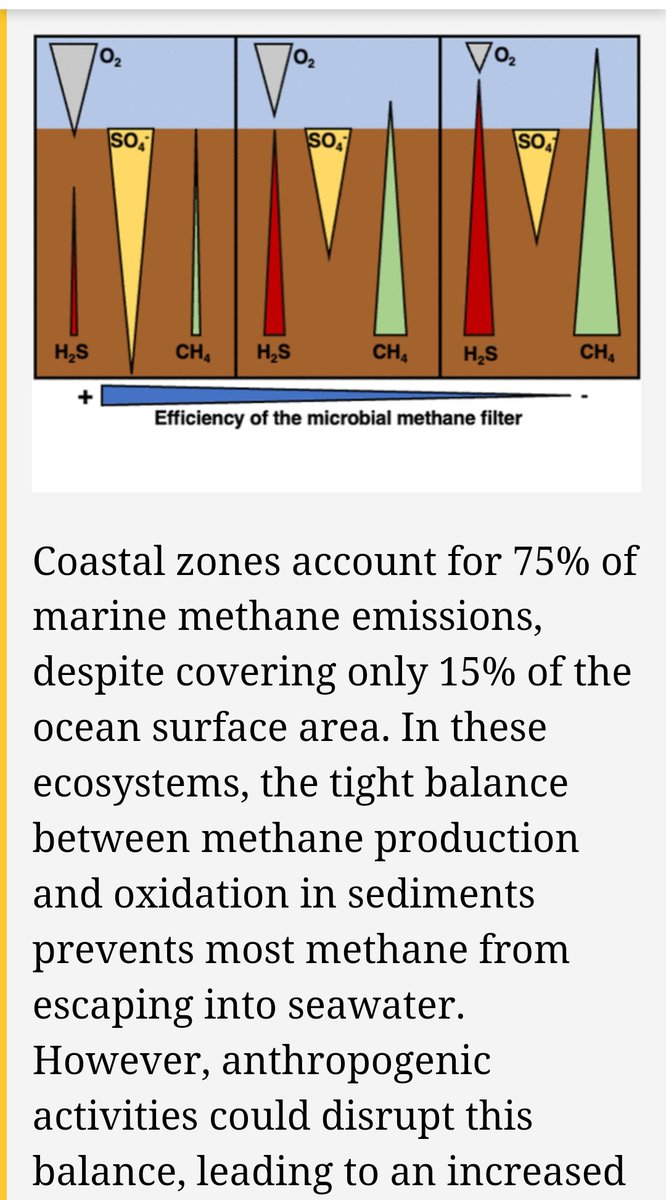 Mike Jettenš„ (@msmjetten) on Twitter photo Long in the making, finally out <a href="/pdalcinmartins/">Dr. Paula Dalcin Martins</a> et al : Sulfide Toxicity as Key Control on #Anaerobic Oxidation of #Methane in Eutrophic Coastal Sediments
#microbiology @RIBESresearch
Supported by <a href="/SIAMmicrobes/">SIAM-microbiology</a>
<a href="/ERC_Research/">European Research Council (ERC)</a> pubs.acs.org/doi/10.1021/ac⦠Long in the making, finally out <a href="/pdalcinmartins/">Dr. Paula Dalcin Martins</a> et al : Sulfide Toxicity as Key Control on #Anaerobic Oxidation of #Methane in Eutrophic Coastal Sediments
#microbiology @RIBESresearch
Supported by <a href="/SIAMmicrobes/">SIAM-microbiology</a>
<a href="/ERC_Research/">European Research Council (ERC)</a> pubs.acs.org/doi/10.1021/acā¦