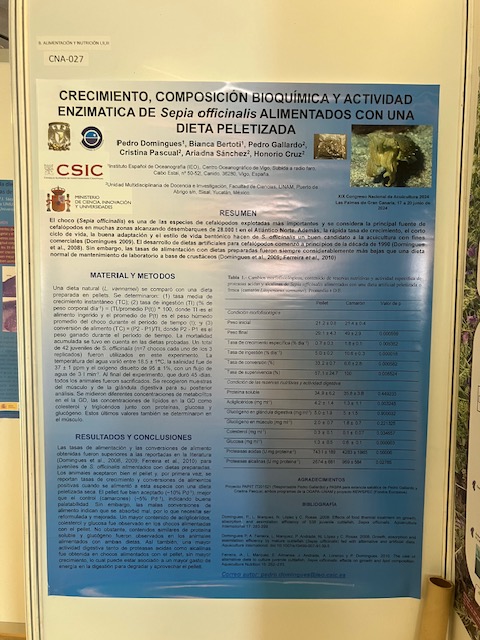 IEOVigo's tweet photo. 🌊Participamos en el Congreso Nacional de #Acuicultura
👩💻Cristina Pascual de la @UNAM_MX presentó los trabajos sobre choco realizados en el marco del proyecto #NEWSPEC durante su estancia en #IEOVigo
📑Pedro Domingues presentó un póster con la misma temática https://t.co/iRdpOHD6Q9
