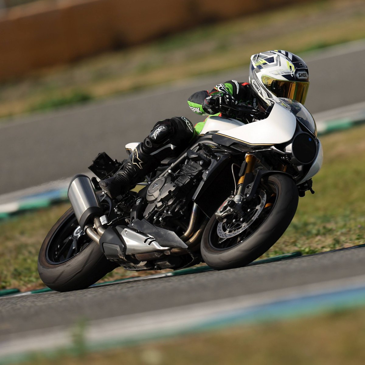 sahuran351様 セリコ・パラサイト隕石 ケニア産 シルバーペンダント 16×23mm