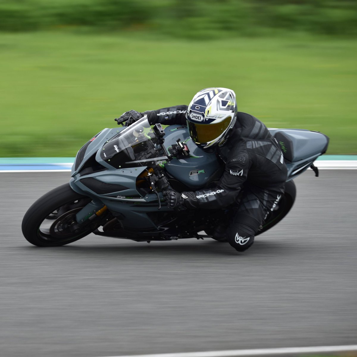 sahuran351様 セリコ・パラサイト隕石 ケニア産 シルバーペンダント 16×23mm