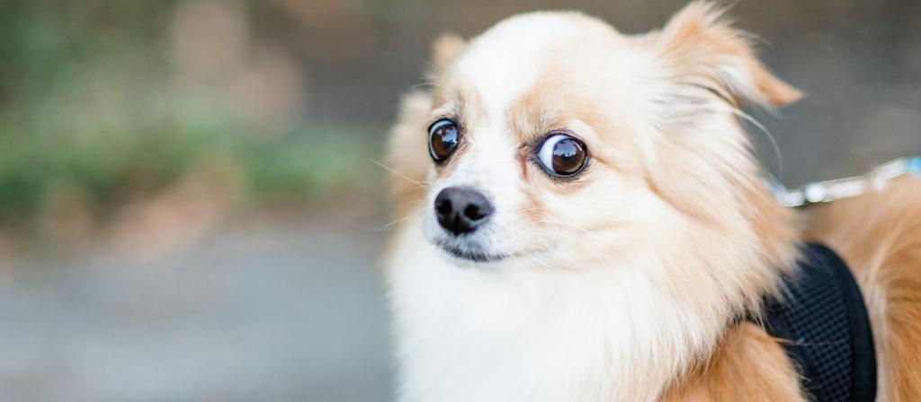 Van 'expansiebochten' tot 'vollooprisico's': de vaktermen over #warmtenetten vliegen je soms om de oren. In dit artikel  ontrafelen we het jargon. 👉hier.nu/samen-van-het-…