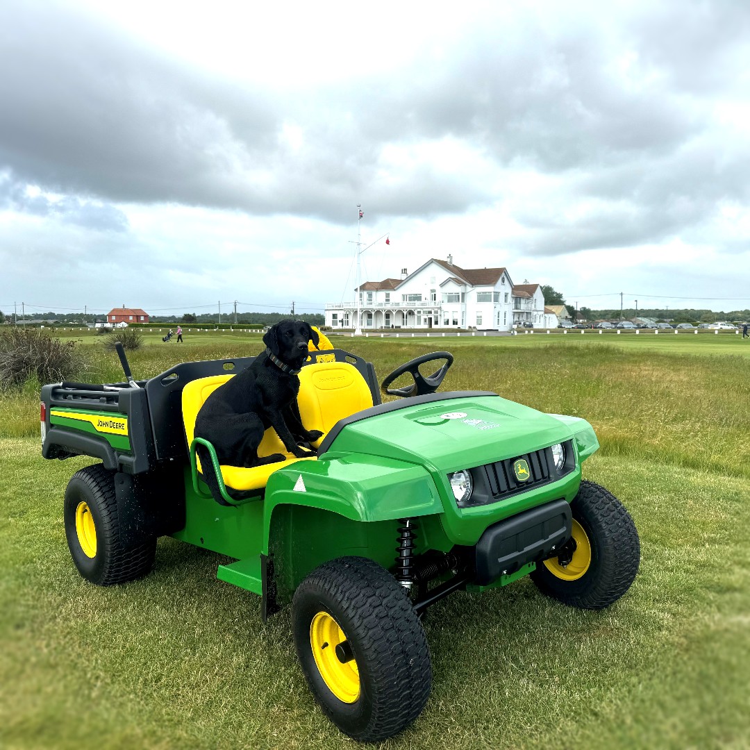 Tuckwells (@tuckwellgroup) on Twitter photo Delivered last week to Royal Cinque Ports Golf Club - 2 NEW John Deere Gator TE 4x2 Electric. 
 #JohnDeereGator #ElectricVehicles #GolfCourseEquipment #GolfClubLife #GolfingCommunity #GatorTE #NewArrivals #GolfCourseMaintenance #Greenkeeping Delivered last week to Royal Cinque Ports Golf Club - 2 NEW John Deere Gator TE 4x2 Electric. 
 #JohnDeereGator #ElectricVehicles #GolfCourseEquipment #GolfClubLife #GolfingCommunity #GatorTE #NewArrivals #GolfCourseMaintenance #Greenkeeping