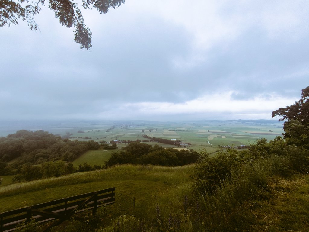 Tobias Erik Reiners tweet media