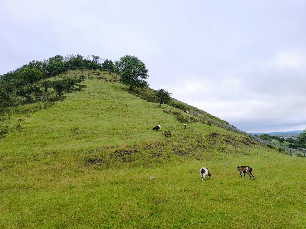 Tobias Erik Reiners tweet media