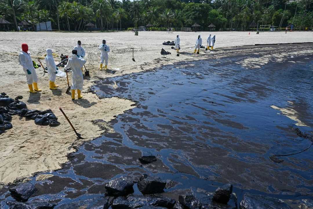 Sentosa's pristine beaches are covered in oil, affecting wildlife. This disaster shows fossil fuels' permanent harm. Heng Kiah Chun from Greenpeace calls it a “wake-up call” to phase out fossil fuels. 

Read more: edition.cnn.com/2024/06/16/tra…

#EnvironmentalJustice