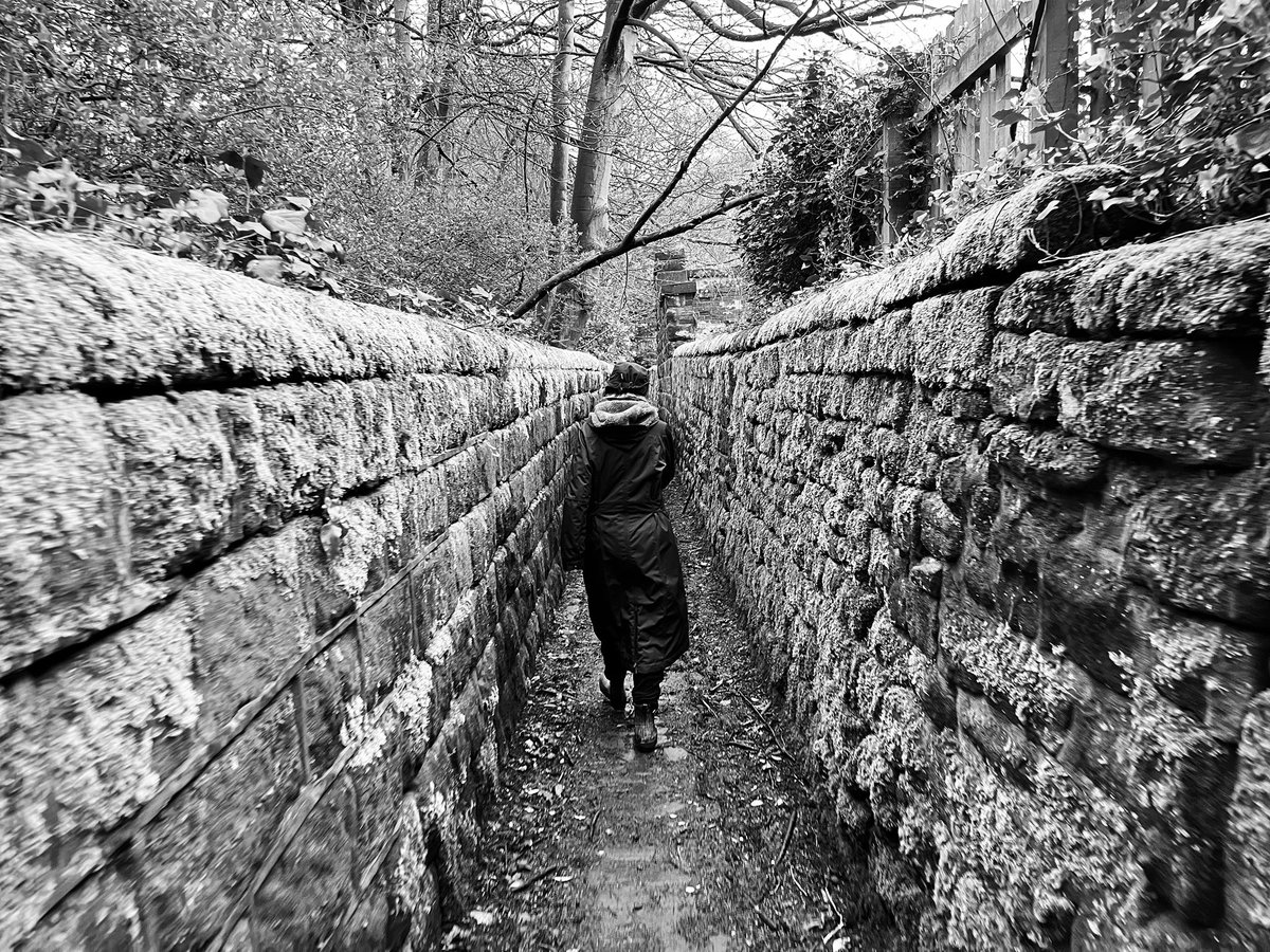 RadioAndrewE's tweet photo. The ginnel #1 (or is it a snicket?), off Weetwood Lane, Leeds: 6.01pm, 10th April 2024

#ginnel #snicket #leeds #weetwoodlane #weetwood #blackandwhite #blackandwhitephotography #monochrome #urbanphotography #iphone13mini #iphonephotography https://t.co/qUUfkwhfZI