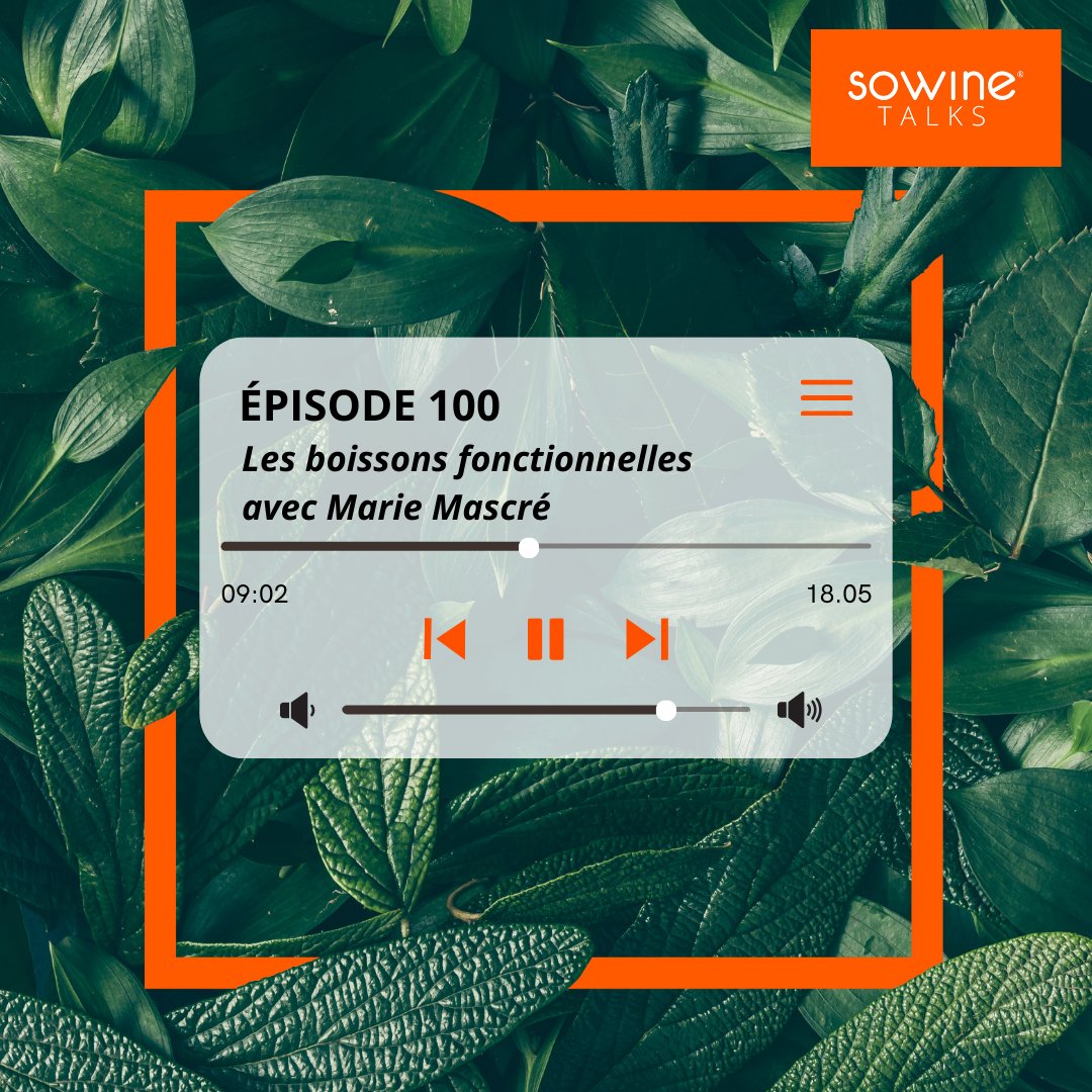 Marie Mascré s'intéresse aux boissons fonctionnelles pour comprendre en quoi cette catégorie peut inspirer les marques de vin ou de spiritueux.

Pour écouter l’épisode ➡ bit.ly/sowinetalks-100
