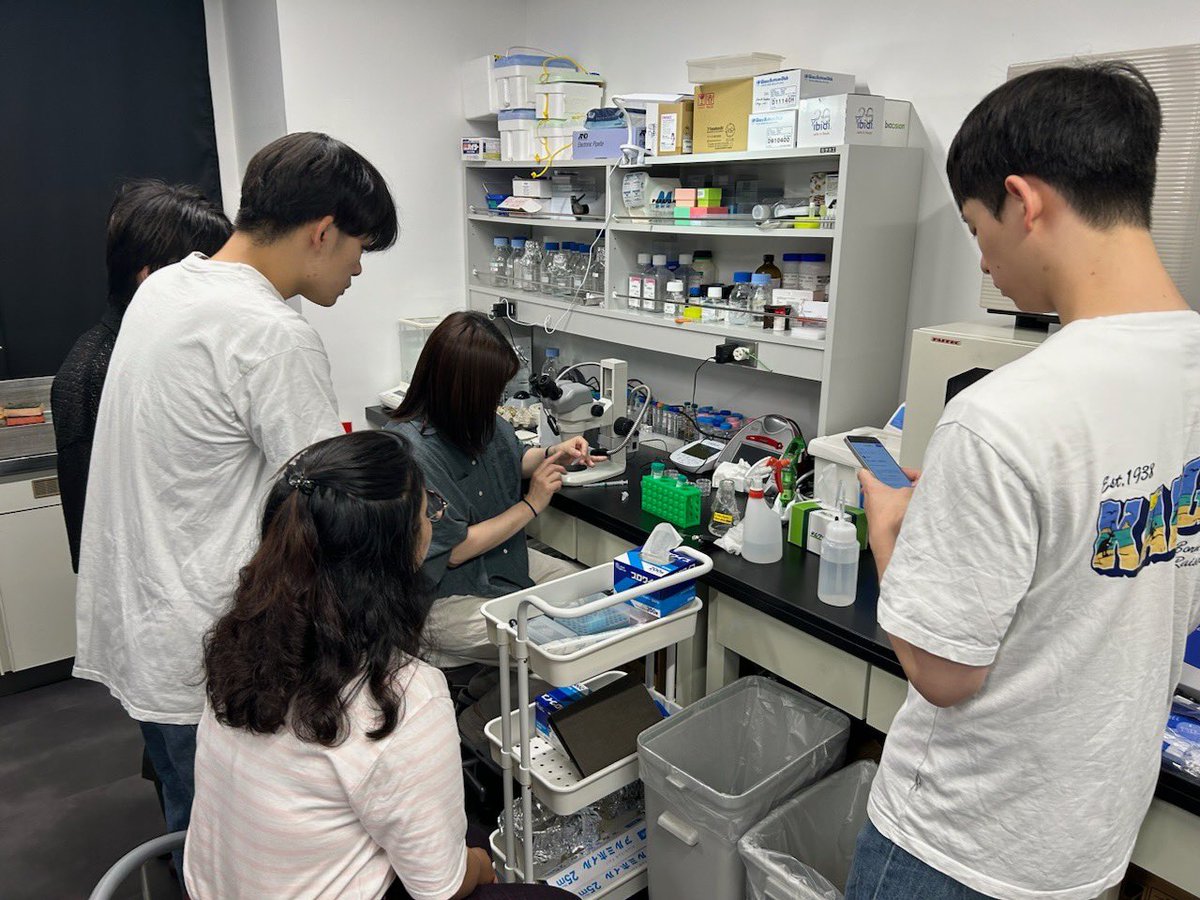 Lab_Nagai's tweet photo. #IUPAB2024 本日の実習模様。佐藤有紀さん(九大医学)も講師として加わってもらい試料作成をデモ。前半組と後半組でペアを作って最終日(金曜)に発表してもらうためにあみだくじ。 https://t.co/hIRU6kNxnZ