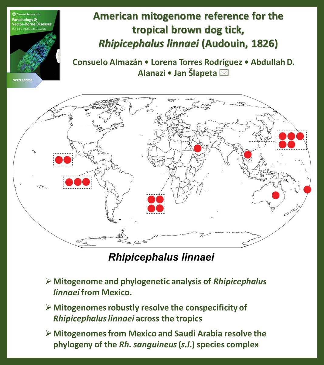 Aneta Kostadinova (@anetkostadinova) on Twitter photo Now in press in Current Research in Parasitology & Vector-Borne Diseases <a href="/CRPVBD/">CR in Parasitology & Vector-Borne Diseases</a>
#OpenAccess
▶️sciencedirect.com/science/articl…
#Rhipicephalus sanguineus complex #mtDNA #Brown dog tick #Phylogeny #Genome #NGS
<a href="/JanSlapeta/">Prof Jan Slapeta</a> <a href="/Sydney_Vet/">Sydney Uni Vet Sci</a> Now in press in Current Research in Parasitology & Vector-Borne Diseases <a href="/CRPVBD/">CR in Parasitology & Vector-Borne Diseases</a>
#OpenAccess
▶️sciencedirect.com/science/articl…
#Rhipicephalus sanguineus complex #mtDNA #Brown dog tick #Phylogeny #Genome #NGS
<a href="/JanSlapeta/">Prof Jan Slapeta</a> <a href="/Sydney_Vet/">Sydney Uni Vet Sci</a>