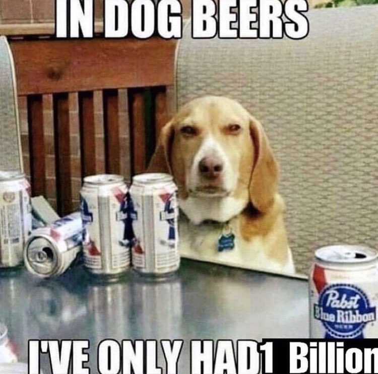 the BBL scanner (@paulotomas32) on Twitter photo 