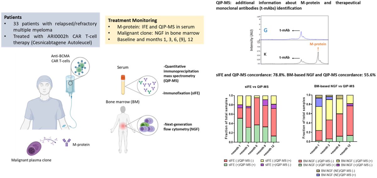 Just online! Serum mass spectrometry for treatment monitoring in patients with multiple myeloma receiving ARI0002h CAR T‐cells onlinelibrary.wiley.com/doi/10.1111/bj… <a href="/BrJHaem/">British Journal of Haematology</a> <a href="/idibaps/">IDIBAPS</a> <a href="/hematoclinicbcn/">Hematologia Hospital Clínic Barcelona</a> <a href="/hospitalclinic/">Hospital Clínic</a> <a href="/immunoclinicbcn/">immunoclinicbcn</a> <a href="/InakiOdlp/">Iñaki_OdLP</a> <a href="/ainitaoliver/">Aina Oliver-Caldes</a> <a href="/BrunoPaiva_UNAV/">Bruno Paiva</a> <a href="/vivamarta/">Marta Español Rego</a>