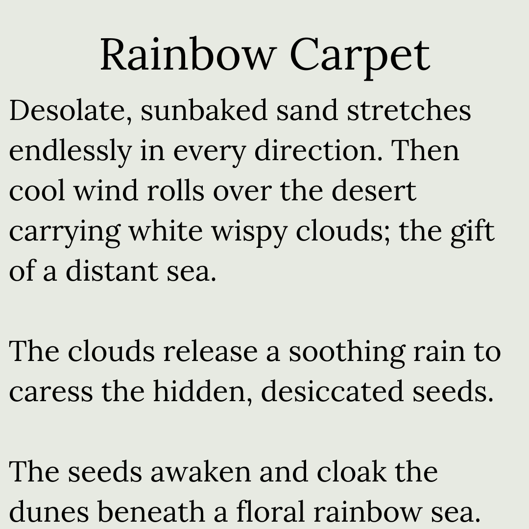MPSiddell's tweet photo. Microfiction day thirteen: Rainbow Carpet https://t.co/bvWxpAA62F