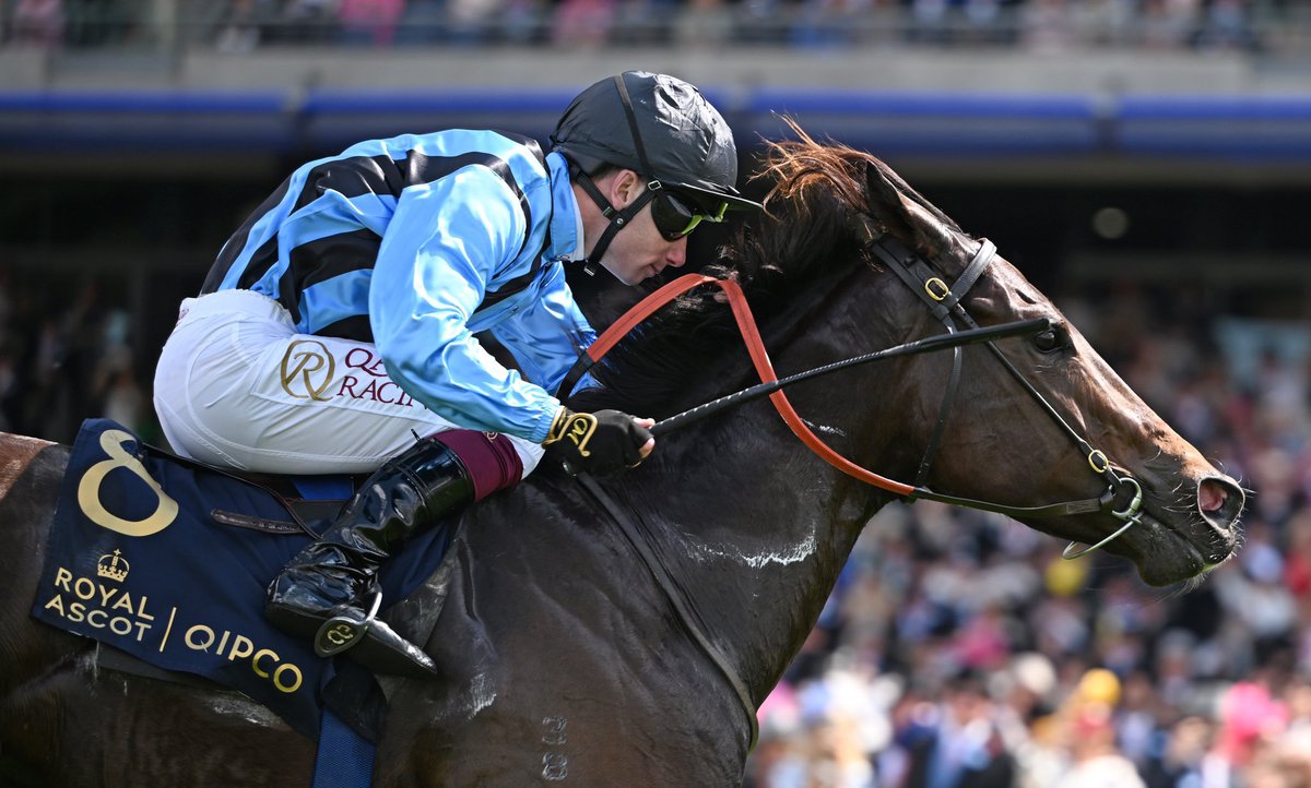 Amy Murphy Racing tweet media