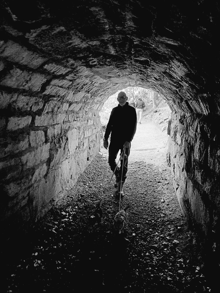 County Property Finders tweet media