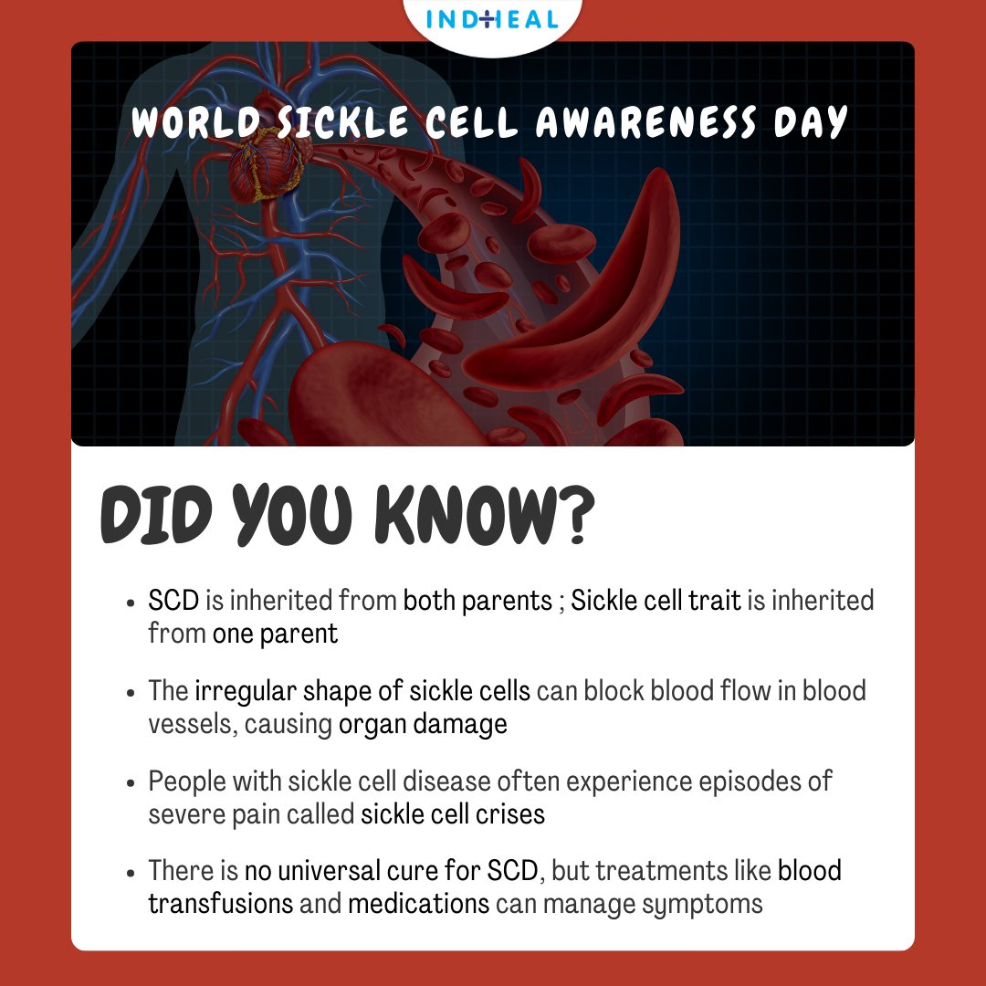 indheal's tweet photo. Fight Sickle Cell: Awareness is Key https://t.co/HlkziSf3q4