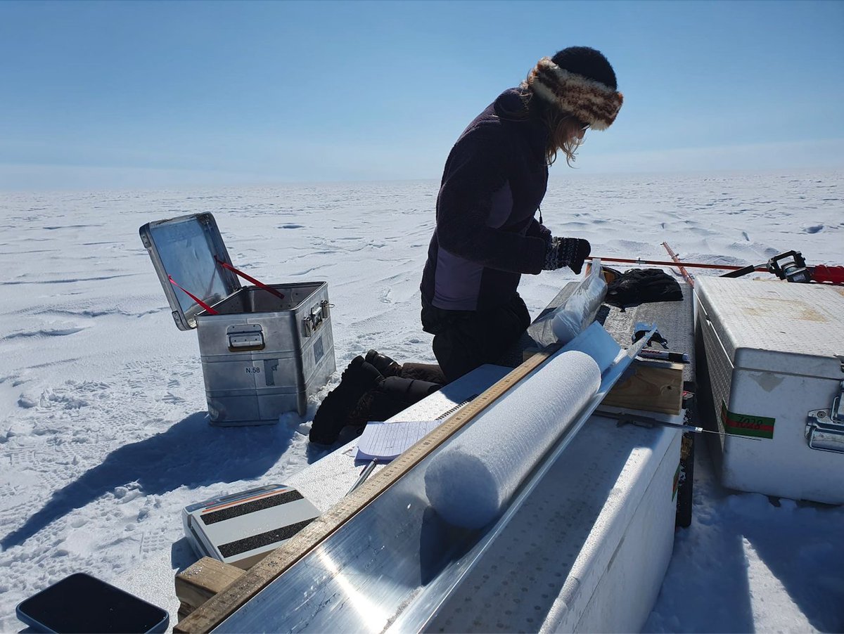 Impressions from drilling and processing of shallow ice cores in #Greenland this summer. This important work helps us study surface mass balance, one of the major uncertainties in predicting the evolution of ice sheets and future sea level rise. #SMB