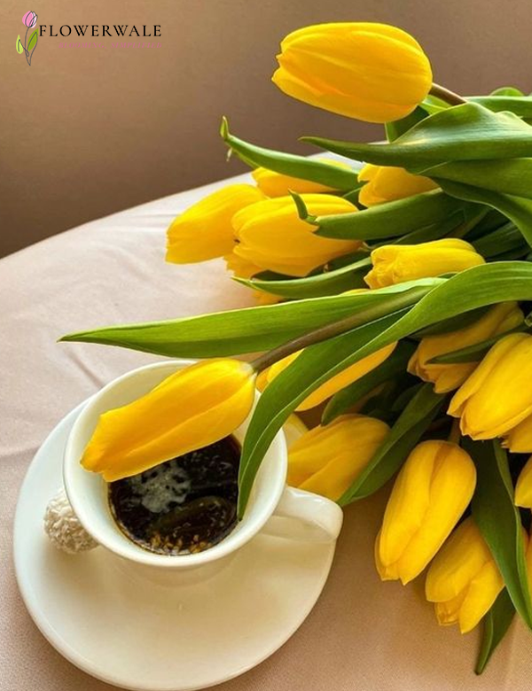 flowerswale's tweet photo. Blooming with grace, tulips add a touch of spring to every moment.

🌐 https://t.co/vzrXVT4Qt4
📞 9625322300
.
.
.
#TulipLove #SpringBlooms #TulipSeason #FlowerPower #GardenJoy #SpringFlowers #BloomingTulips #NatureBeauty #TulipMagic #FlowerPhotography #ColorfulTulips https://t.co/ZMY4C20Jqx
