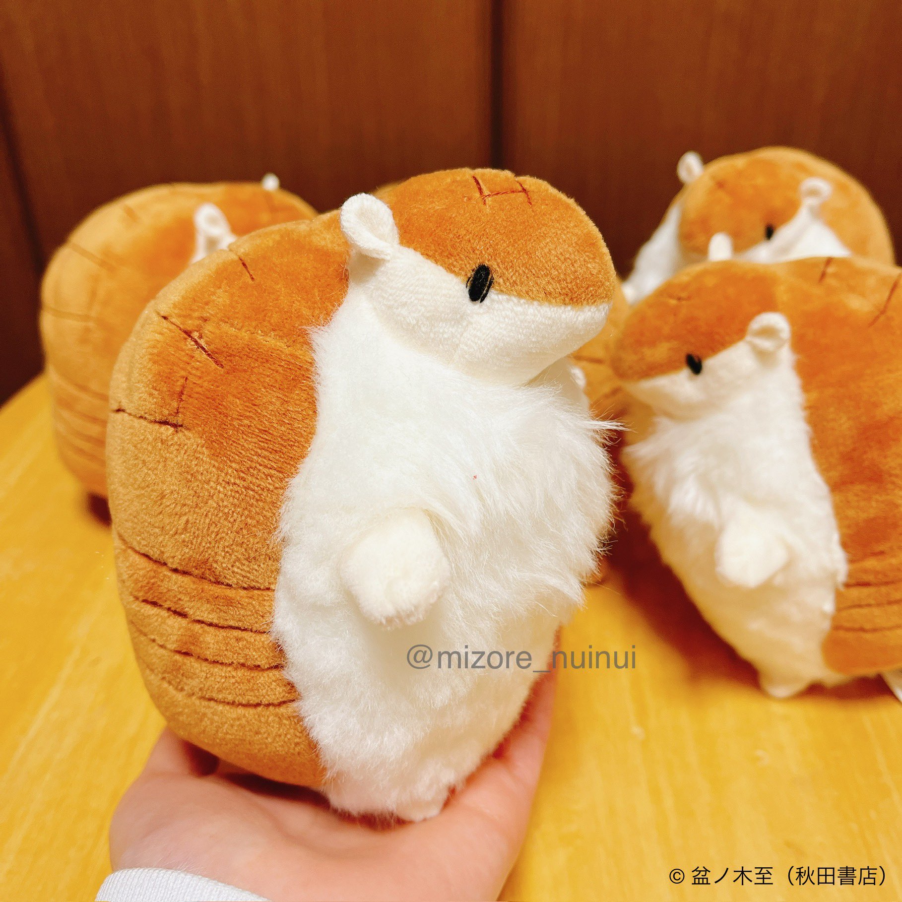 吸血鬼すぐ死ぬ アルマジロのジョン ぬいぐるみ セット みぞれ on X