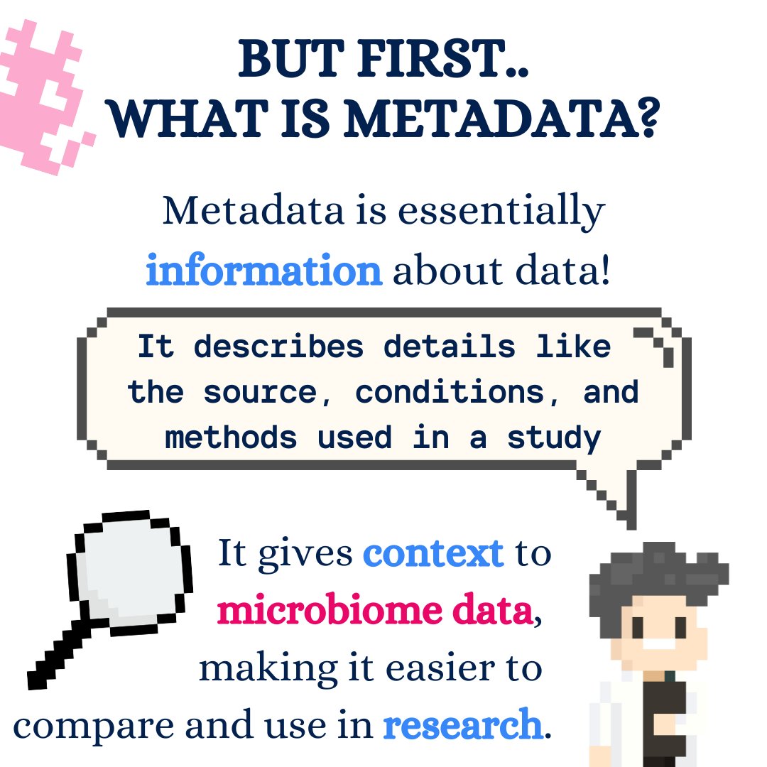 BiomeResearch's tweet photo. Ever wondered why metadata is so important in microbiome studies? 🧫 Swipe to learn about the power of meta-analyses and how consistent metadata can transform your research 👩‍💻 Plus, meet MADAME, our tool for data and metadata retrieval! 
👾Part 1
🦠#microbiome #microbiomedata https://t.co/5pScRxalxR
