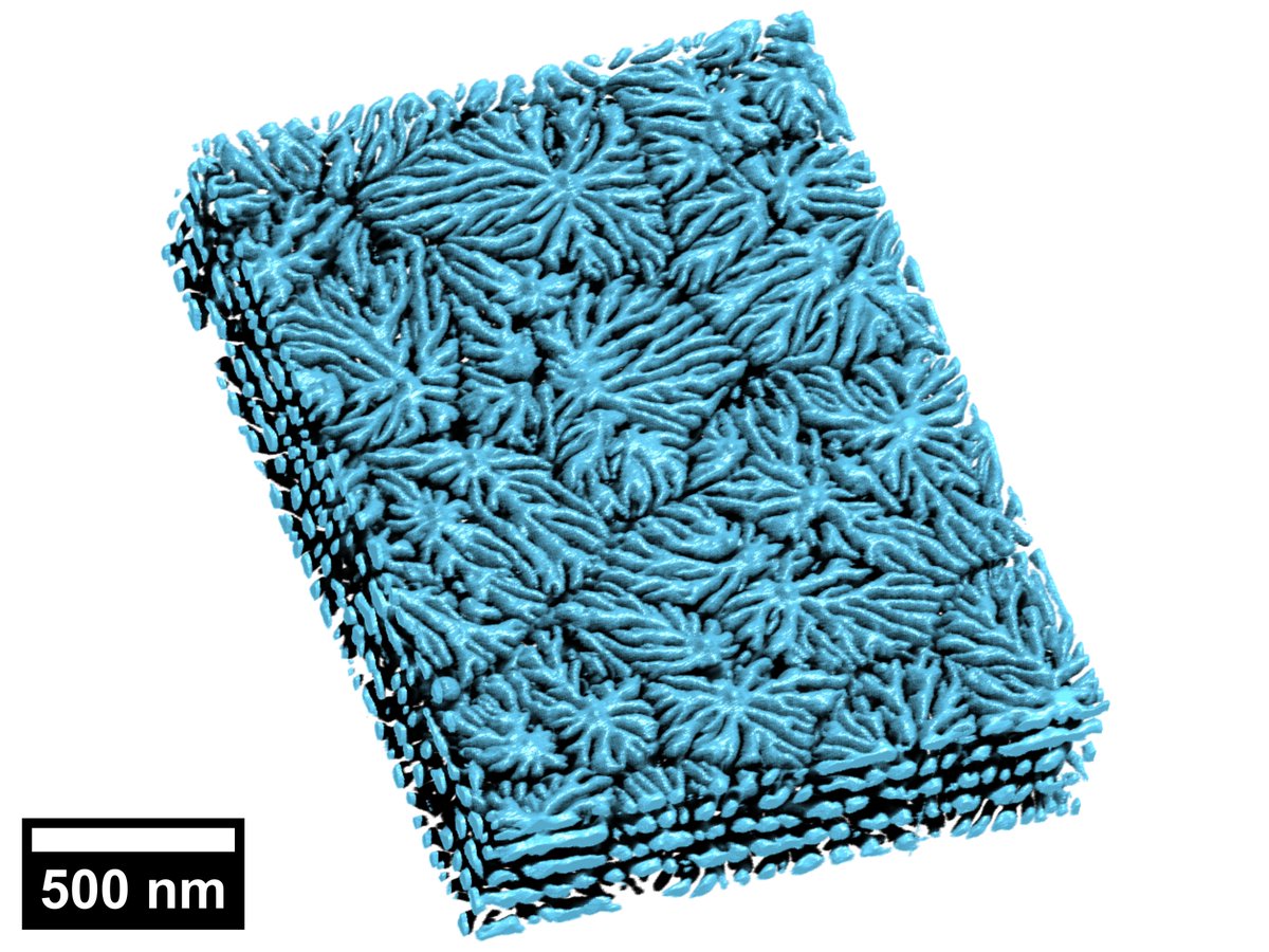 Maruf Sarkar (@maruf_sarkar) on Twitter photo Check out my winning photograph in the General category of the University of Cambridge Dept. of Materials Science and Metallurgy 2024 photo competition — and my winning tomograph in the Technical category! Check out my winning photograph in the General category of the University of Cambridge Dept. of Materials Science and Metallurgy 2024 photo competition — and my winning tomograph in the Technical category!