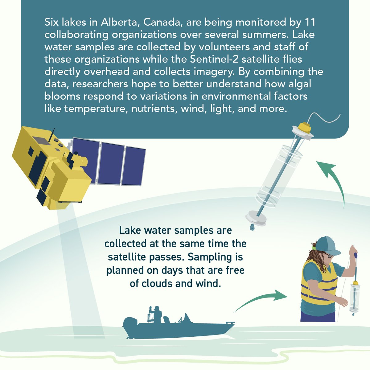 ABbiodiversity's tweet photo. Have you experienced harmful algal blooms at your favorite #Albertalake?
The ABMI is one of 11 organizations collaborating to better understand algal blooms in 6 lakes, and the second sampling season is underway!
Read more about this project: https://t.co/5T4BpnPsNN https://t.co/DP97MHBgzx