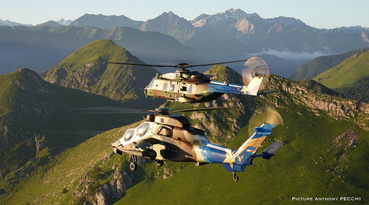 Anthony Pecchi tweet media