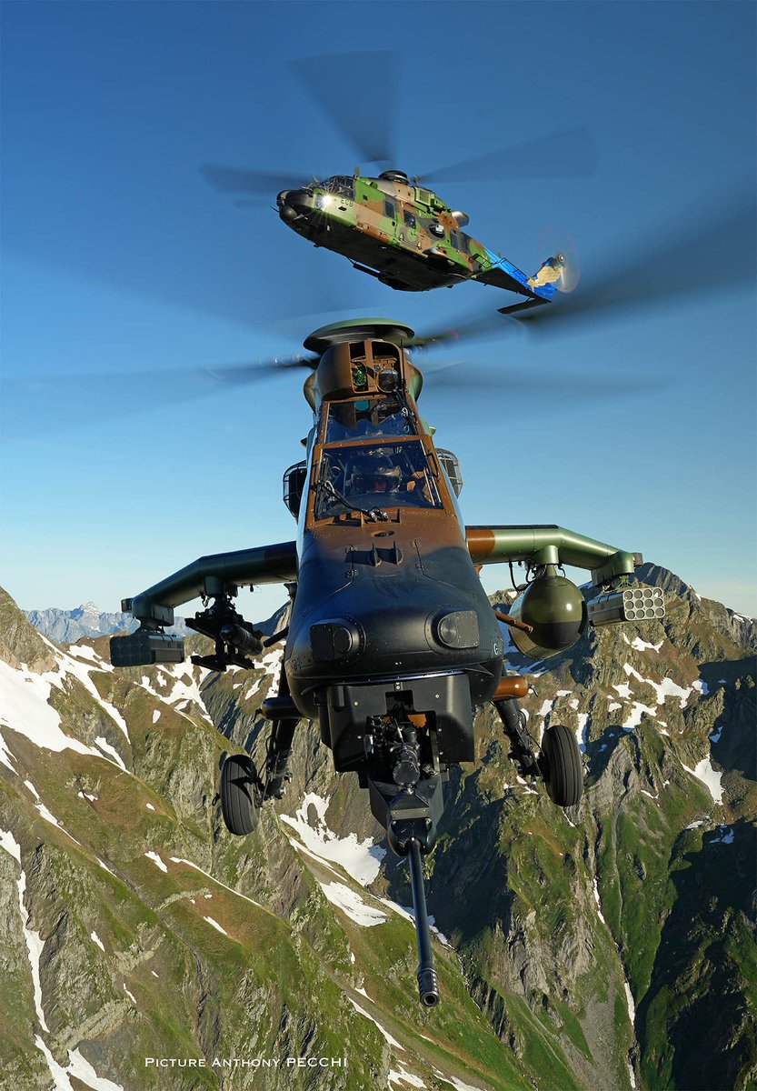 Anthony Pecchi tweet media