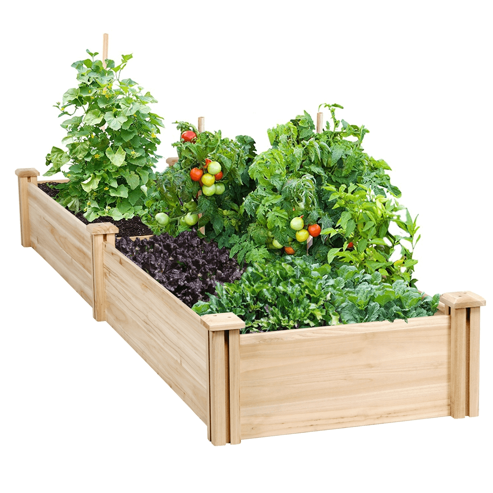 Yaheetech2's tweet photo. Thinking about creating your dream garden in your backyard? Let this raised garden bed make that dream a reality!
🔗: https://t.co/xkxLv3i8iW
#Yaheetech #myyaheetech #yaheetechfurniture #gardenbed #raisedgardenbed #patiodesign #patio-furniture #outdoors https://t.co/gebUPuTqYD