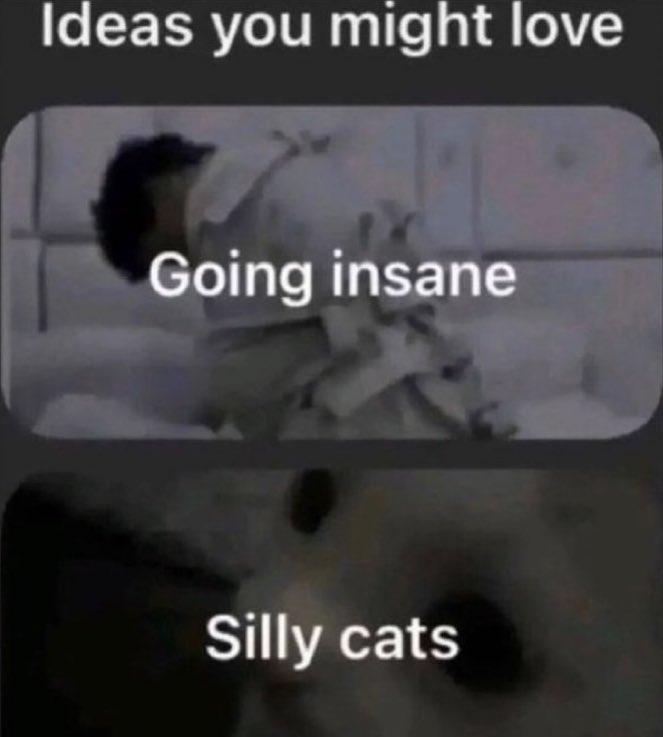 LightLinkLynx's tweet image. Lynx are the best cats 🐱