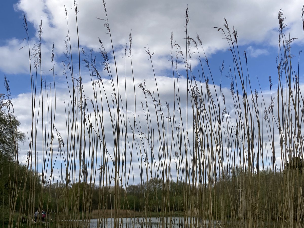 The Calm Space Project tweet media