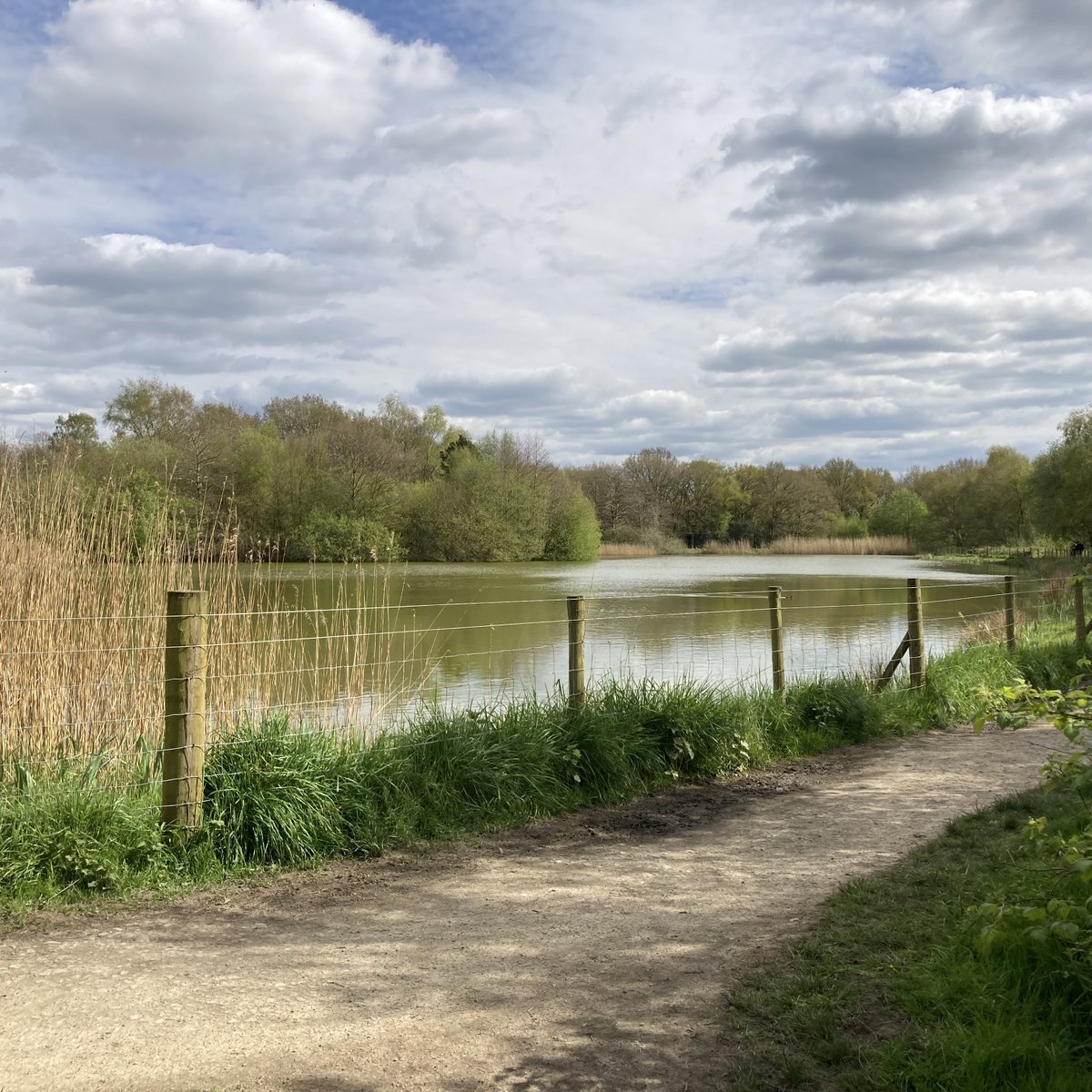 The Calm Space Project tweet media