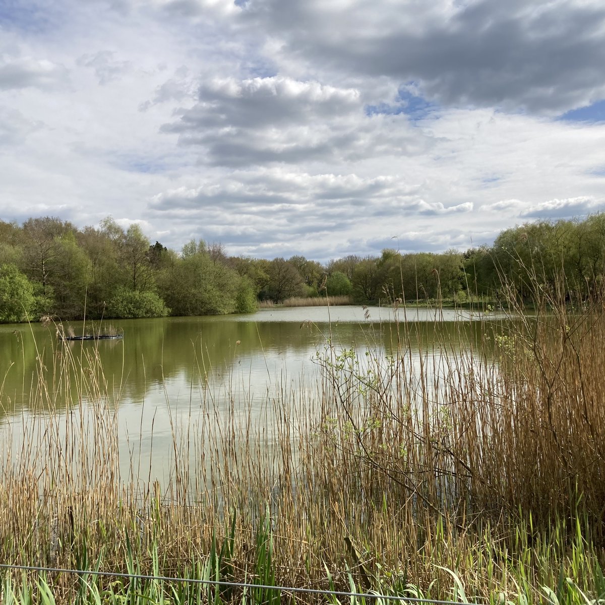 The Calm Space Project tweet media