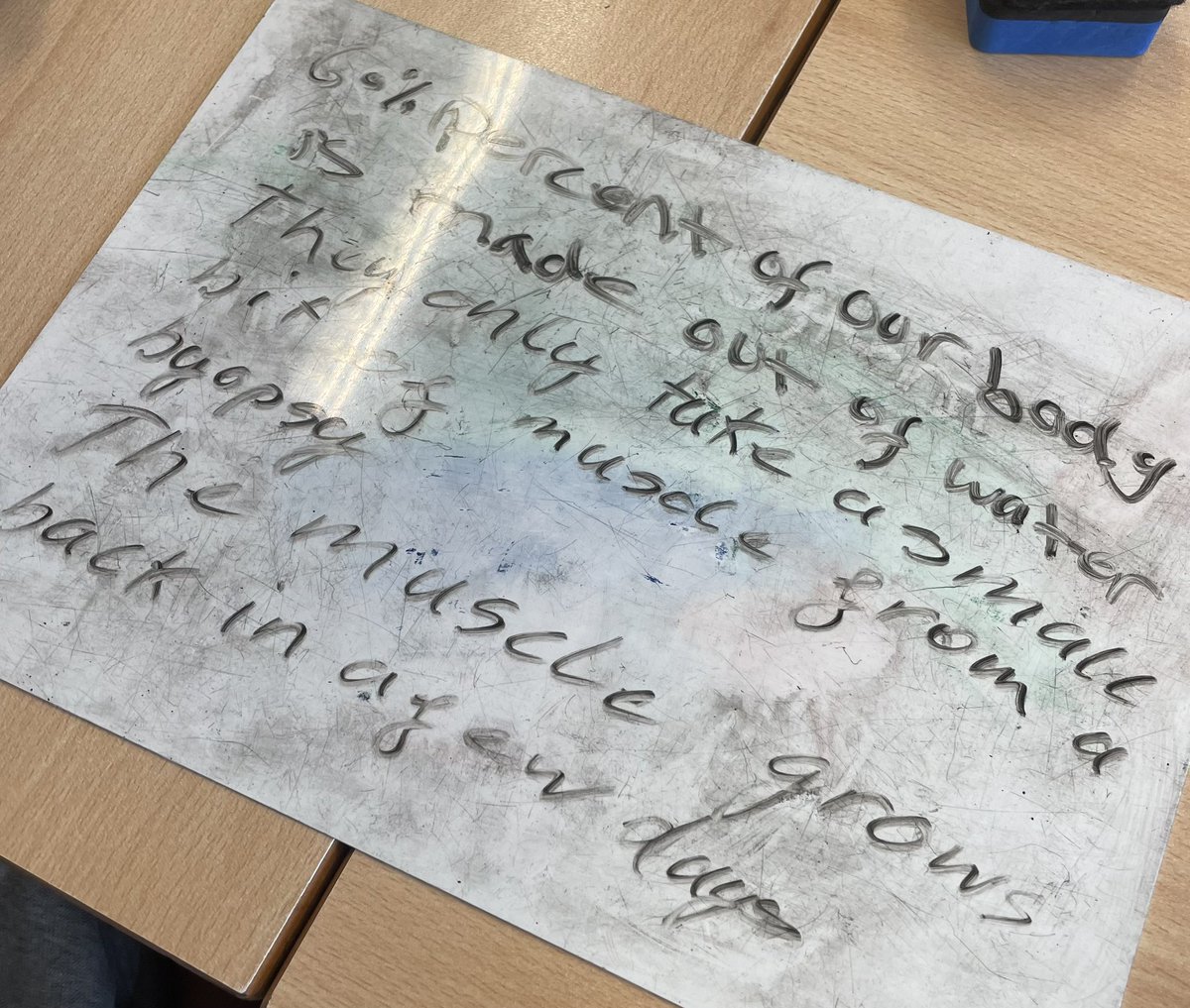 Freyja Haigh (@f_haigh) on Twitter photo Another great session today with <a href="/IntoUniversity/">IntoUniversity</a>, teaching Yr6 all about the importance of different nutrients, with a special demonstration of a muscle biopsy (on an apple!). Some great answers about what they’d learnt in the session! #inspire #womeninscience #nutrition Another great session today with <a href="/IntoUniversity/">IntoUniversity</a>, teaching Yr6 all about the importance of different nutrients, with a special demonstration of a muscle biopsy (on an apple!). Some great answers about what they’d learnt in the session! #inspire #womeninscience #nutrition
