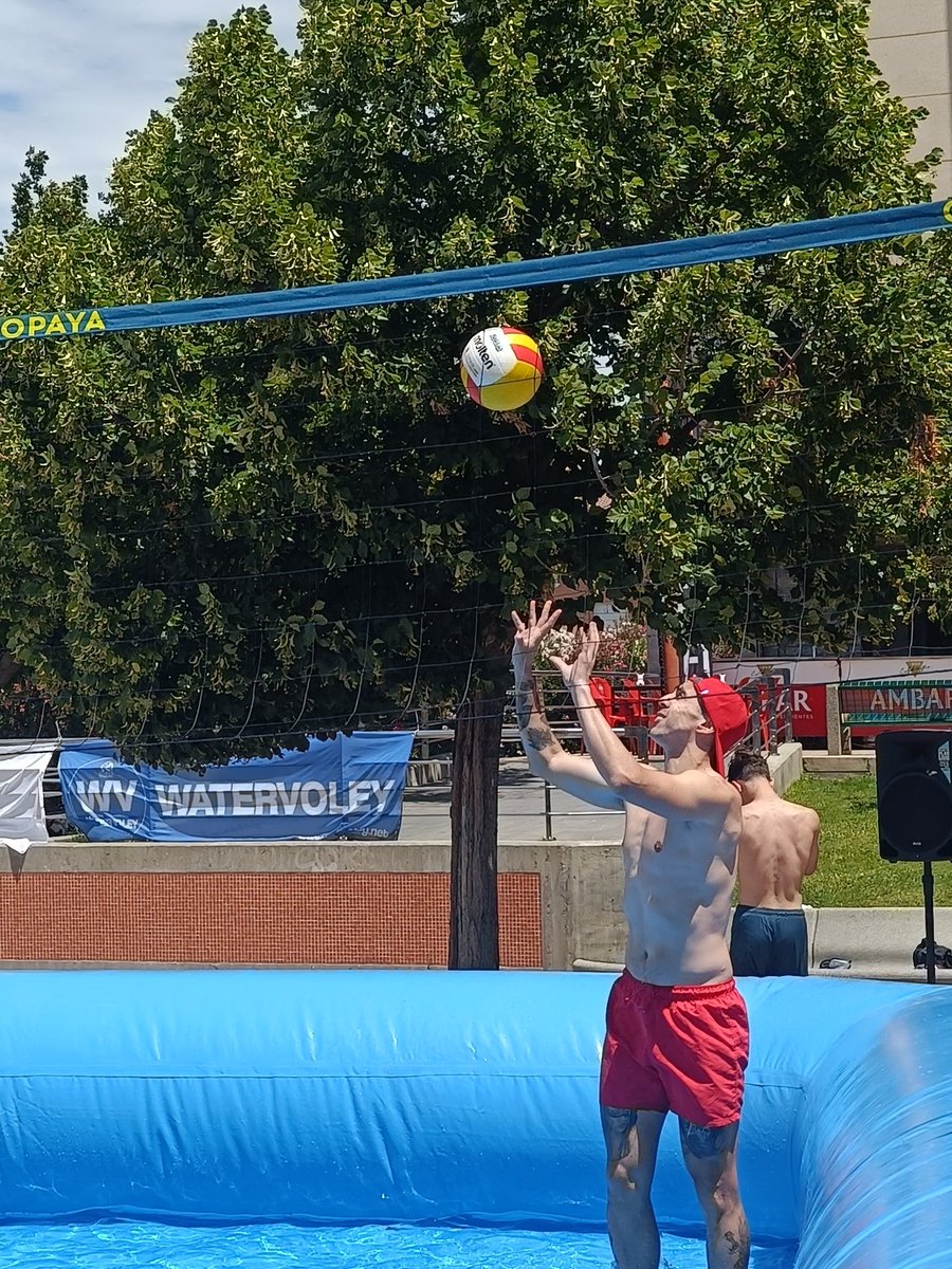 WaterVoley tweet media