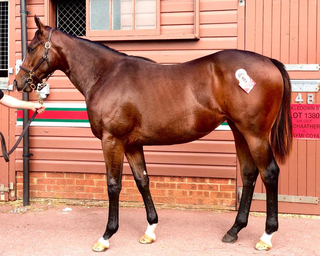 Byron Rogers (@byronrogers73) on Twitter photo Two runners bought as yearlings with <a href="/starbloodstock/">Star Bloodstock</a> and <a href="/DiegoDiasracing/">Diego Dias Racing</a> taking their chances <a href="/Ascot/">Ascot Racecourse</a> today. Make Haste (pic) in the Queen Mary and Brosay in the Windsor Castle. Only bought 10 for the partners so to have two lining up today is quite satisfying. Two runners bought as yearlings with <a href="/starbloodstock/">Star Bloodstock</a> and <a href="/DiegoDiasracing/">Diego Dias Racing</a> taking their chances <a href="/Ascot/">Ascot Racecourse</a> today. Make Haste (pic) in the Queen Mary and Brosay in the Windsor Castle. Only bought 10 for the partners so to have two lining up today is quite satisfying.