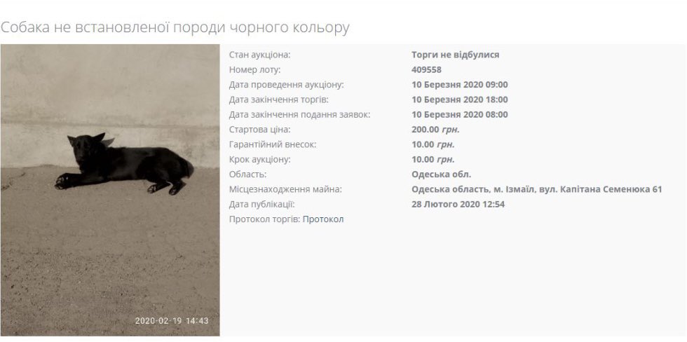 OpenSetamNotOf's tweet photo. Усього за 200 гривень можна купити справжнього друга https://t.co/Gj1d5VFxjr