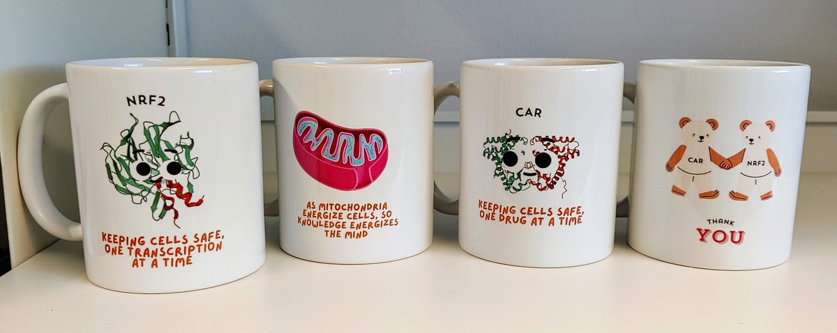 A precious gift from our three graduated Masters to the supervisors at Levonen Lab 🥹❤️ Thank you Anni, Gaukhar, and Pauliina! You all did a splendid job with your thises!

Our new cups from left to right: <a href="/HakomakiH/">Henriikka Hakomäki</a> <a href="/sinipitk/">Sini Pitkänen</a> <a href="/jkublbeck/">Jenni Küblbeck</a> <a href="/annuskilevonen/">Anna-Liisa Levonen</a>