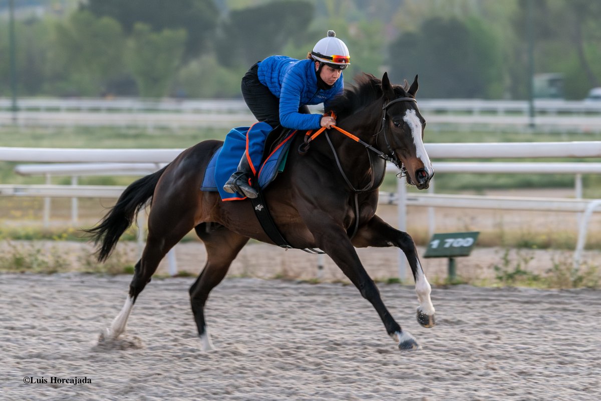 🏇<a href="/Olgaamoreno/">Olga Moreno</a> acaba de renovar su licencia de amazona. Desde <a href="/Aegri1955/">A.E.G.R.I.</a> queremos darle la bienvenida de nuevo y aprovechamos para enviarle nuestra enhorabuena por su boda con el gran jinete de entrenamiento, Álvaro Jaén, que celebrarán el 21 de junio.
¡Que seáis muy felices! 💞