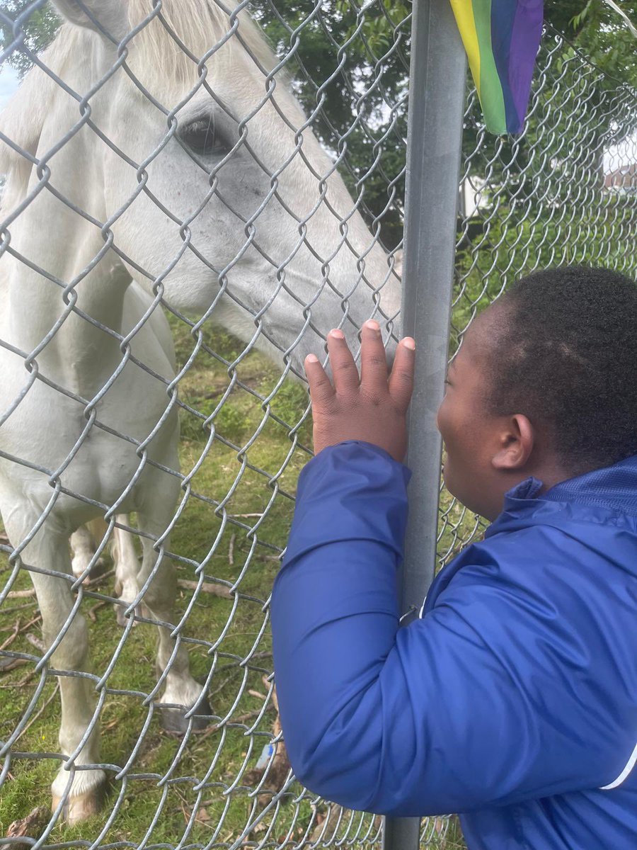 Kirkriggs School tweet media