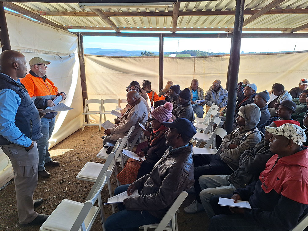 SA Forestry magazine tweet media