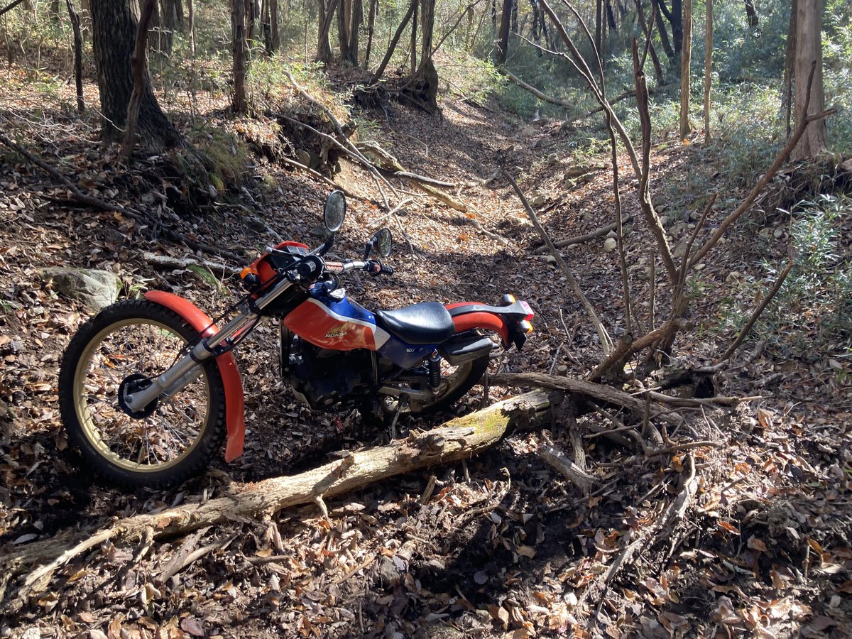 かとろ tweet media