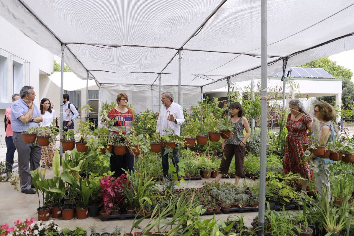 educaciocat's tweet image. La consellera @AnnaSimo visita l'Institut de Sostenibilitat i Medi Ambient de Barcelona, centre que imparteix formació professional especialitzada en jardineria, tractament d'aigües o energies renovables.